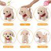 Spark Imagination with a Lifelike Walking, Barking, and Tail-Wagging Toy Pet! Complete Grooming Set and Leash Included for Kids' Creative Play and Lea