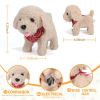 Spark Imagination with a Lifelike Walking, Barking, and Tail-Wagging Toy Pet! Complete Grooming Set and Leash Included for Kids' Creative Play and Lea